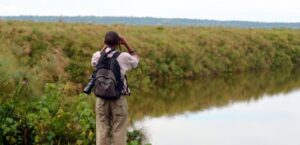 Nature Kenya