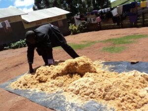 Rubaare Director Drying Saw Dust