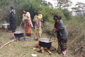 clean cookstoves